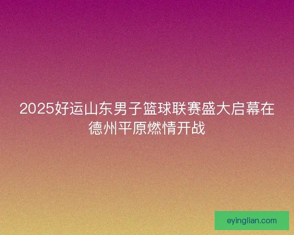 2025好运山东男子篮球联赛盛大启幕在德州平原燃情开战