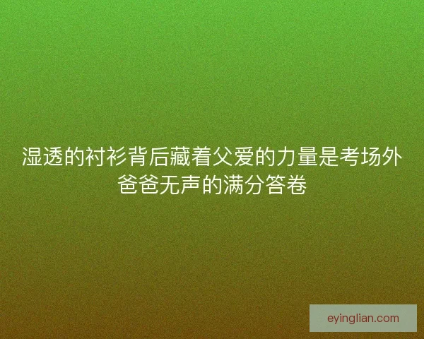湿透的衬衫背后藏着父爱的力量是考场外爸爸无声的满分答卷 湿透的衬衫背后藏着父爱的力量是考场外爸爸无声的满分答卷